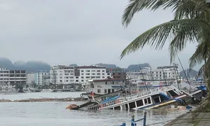 Một số tour, phòng miền Bắc gián đoạn hết tháng 9