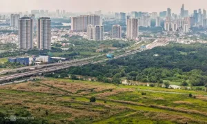 63 dự án bất động sản 'dính' đất nông nghiệp ở TP HCM được tháo gỡ